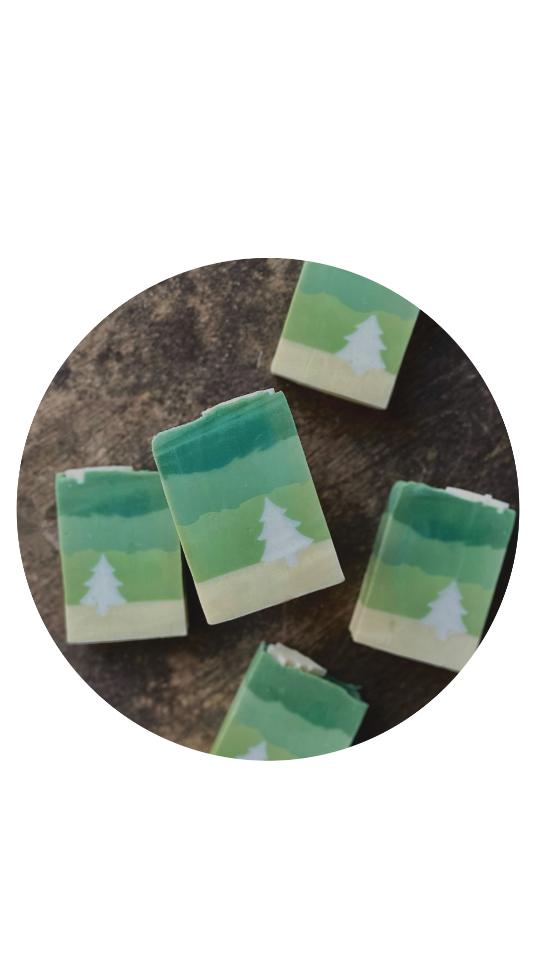 Frosted Pines | Soap Bar